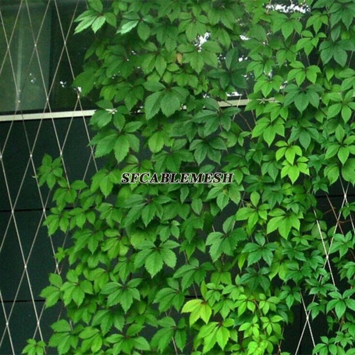 Stainless Steel Wire Rope Mesh Plant Climbing Trellis