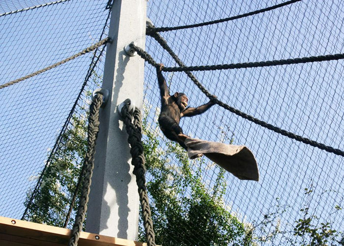 AISI 316 stainless steel monkey enclosure netting