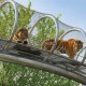AISI 316 flexible stainless steel zoo mesh