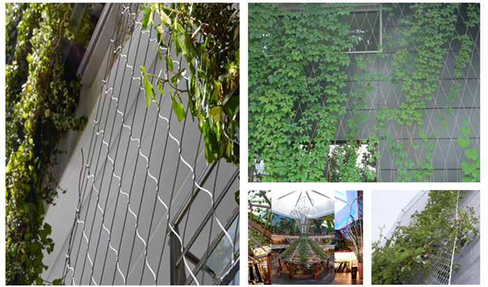 Stainless Steel Green Facade